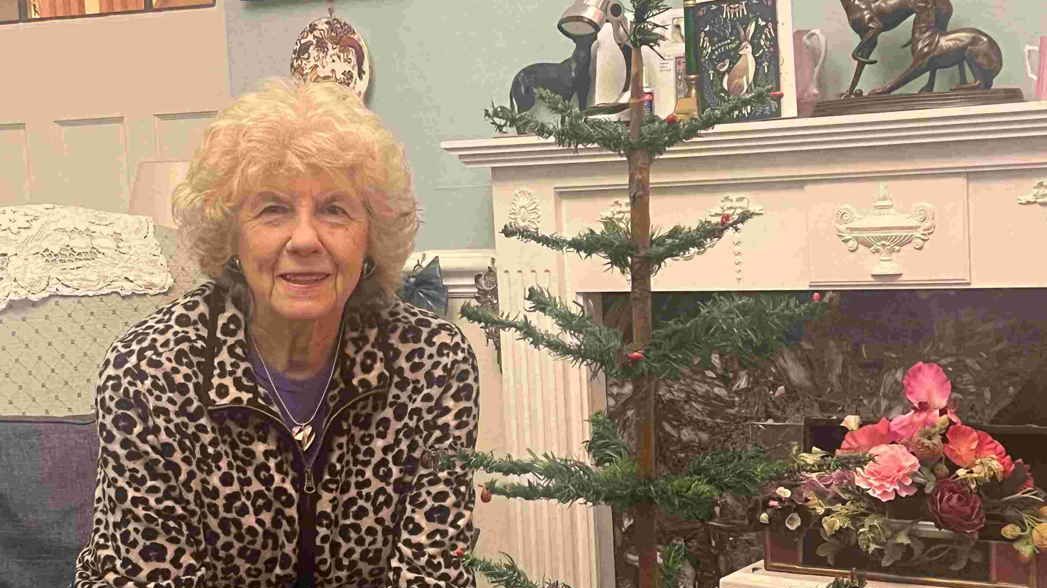 Nejskromnější vánoční stromeček se prodal za téměř sto tisíc korun, je starý 103 let